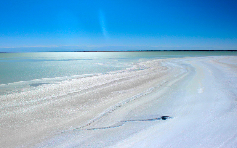 紫金矿业加码国内矿产布局 拟137亿元揽入藏格矿业控制权